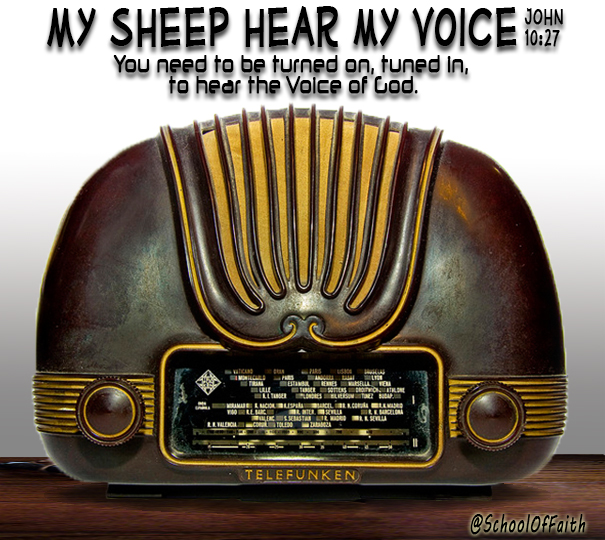 My Sheep Hear.jpg